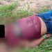 Homem é amarrad0 e papocad0 de tir0s na Zona Leste de Manaus 