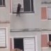 Vídeo emocionante mostra mulher salvando cachorrinho de queda de janela; veja