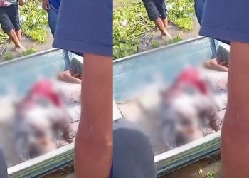 Vídeo: tir0teio entre piratas dos rios e canoeiros deixa feridos no Amazonas