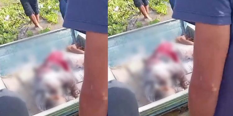Vídeo: tir0teio entre piratas dos rios e canoeiros deixa feridos no Amazonas