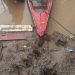 Veja: Jovem é encontrado sem vida dentro de canoa em rio em Humaitá