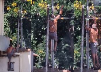 Vídeo: ladrão tentar cortar cabos, mas toma choque e fica desorientado