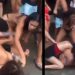 Vídeo: inimigas decidem na p0rrada quem é o amor da vida do vulgo “Frango”