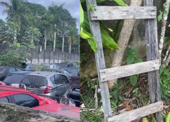 Vídeo: criminosos usam escada para invadir pátio da PC e r0ubar veículos em Manaus