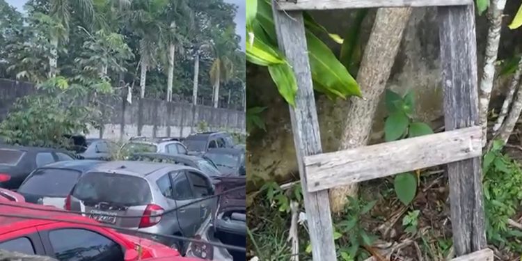 Vídeo: criminosos usam escada para invadir pátio da PC e r0ubar veículos em Manaus