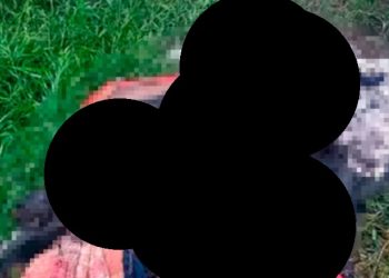 Cena de horr0r: bandidos usam madeira e plástico para carbonizar homem no Amazonas