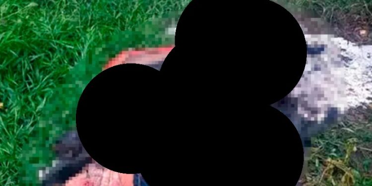 Cena de horr0r: bandidos usam madeira e plástico para carbonizar homem no Amazonas