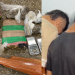 Homem pr3s0 em foguetório na Zona Leste diz que só emprestou isqueiro: ‘Sou trabalhador’