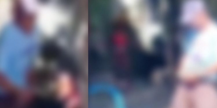 Vídeo: sorveteiro é flagrado dando o picolé para a cliente atrás da árvore 