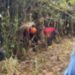 Pai encontra c0rpo do filho em c0va rasa no ramal de Iranduba