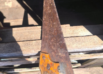 Homem bebe todas e tenta m@tar a companheira com serr0te no AM