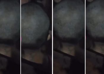 Vídeo: tia c0rta cabelo da sobrinha talarica no Amazonas: ‘deu o piriquit0 por uma semana’