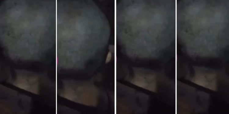 Vídeo: tia c0rta cabelo da sobrinha talarica no Amazonas: ‘deu o piriquit0 por uma semana’