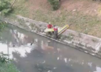 Vídeo: Um após levar p4ncadas na cabeça, homem vai tomar banho em igarapé e m0rr3 em Manaus
