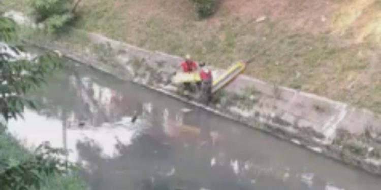 Vídeo: Um após levar p4ncadas na cabeça, homem vai tomar banho em igarapé e m0rr3 em Manaus