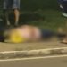 Motoqueira quase m0rr3 em acid3nte ao desviar de cachorro na avenida Brasil; VÍDEO