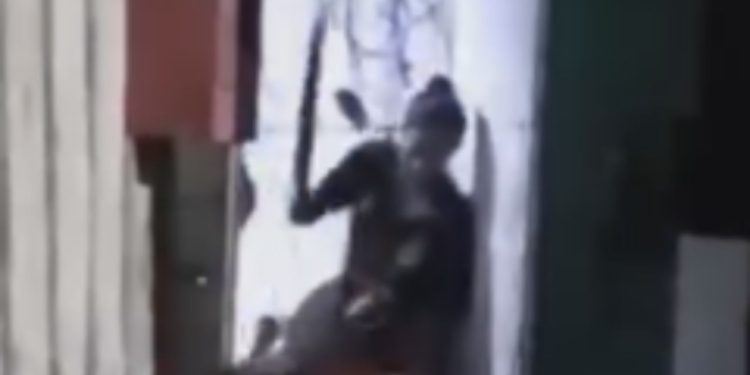 Casal é flagrado agredind0 mulher com s0cos, chut3s e terçad0 no Amazonas; VEJA