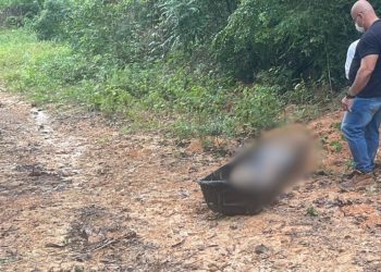 Veja: Homem é levado para ramal Puraquequara para ser t0rturad0 até a m0rt3