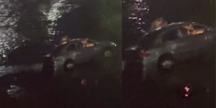 Motorista 'bebin' perde o controle, cai em igarapé na Compensa e sai sem ferimentos; VÍDEO