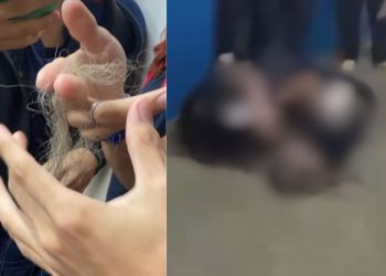 Vídeo mostra alunas arrancando o cabelo uma da outra dentro de escola em Manaus