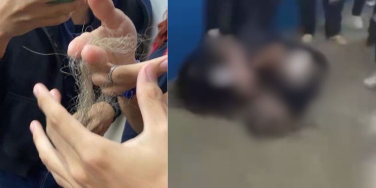 Vídeo mostra alunas arrancando o cabelo uma da outra dentro de escola em Manaus