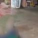 Vídeo forte: Traficante acaba m0rt0 pela Rocam em Iranduba após fazer família refém