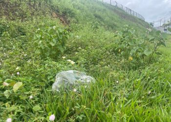 VEJA: Homem é encontrado m0rt0 com calc1nha de oncinha presa na perna no Parque das Laranjeiras