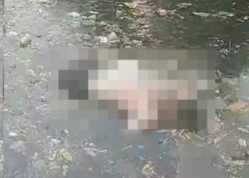 Vídeo forte: morador de Manaus grava de perto homem m0rto no igarapé: ‘boiou agorinha’