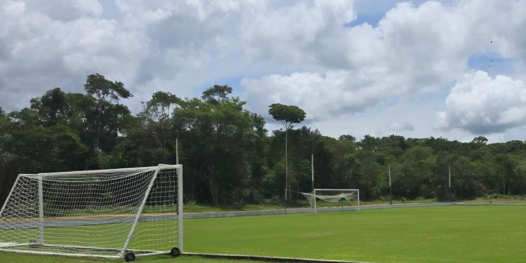 CT desmata floresta para construir campo de futebol e toma multa de R$ 83 mil no AM