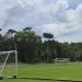 CT desmata floresta para construir campo de futebol e toma multa de R$ 83 mil no AM