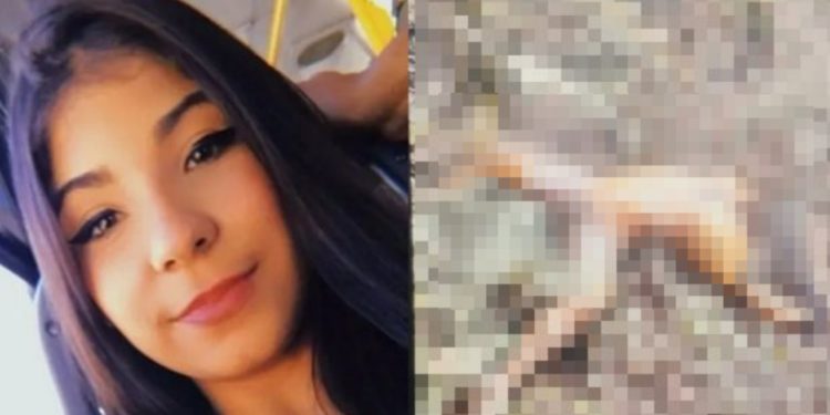 Caso Vitória: veja fotos vazadas da jovem m0rta e do celular encontrado com o assassin0
