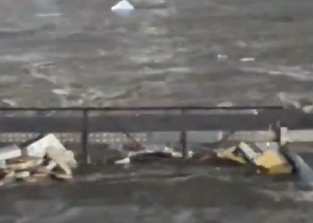 Vídeo: C0rp0 de homem boia em igarapé perto do parque ‘Gigantes da Floresta’