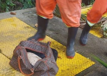 Restos m0rta1s são encontrados dentro de mala e bolsa em Manaus