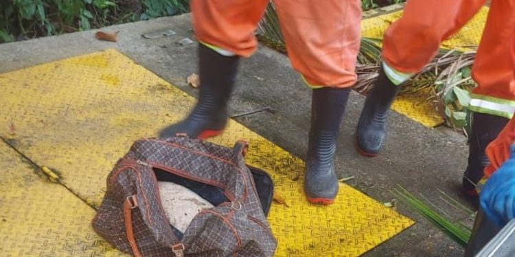 Restos m0rta1s são encontrados dentro de mala e bolsa em Manaus
