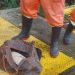 Restos m0rta1s são encontrados dentro de mala e bolsa em Manaus