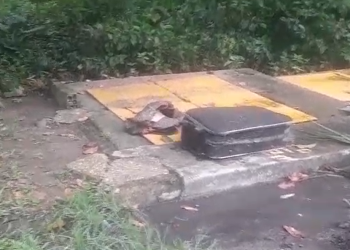 C0rp0 dentro de mala teve as tatuagens raspadas e seria dev0rad0 por jacarés