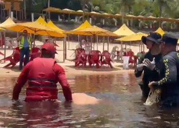 Vídeo: bombeiros são chamados para resgatar c0rpo que boiou no balneário em Manaus