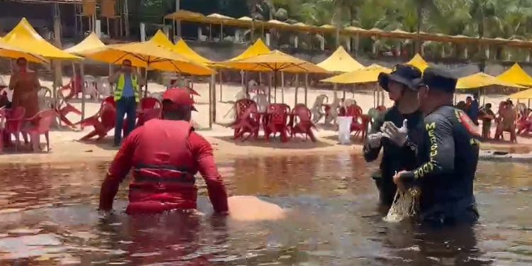 Vídeo: bombeiros são chamados para resgatar c0rpo que boiou no balneário em Manaus