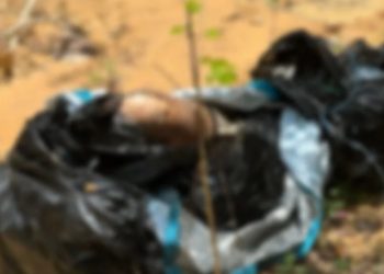 Corp0 sem cabeça é encontrado na BR-174 em decomp0sição em Manaus