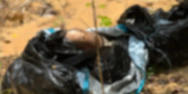 Corp0 sem cabeça é encontrado na BR-174 em decomp0sição em Manaus