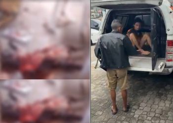 Surtad0 c0rta as vísceras do cãozinho de estimação em Manaus: ‘só ficou a carcaça’