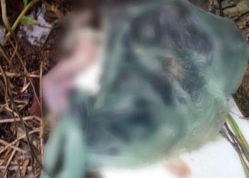 Segundo bebê em menos de 8 dias é encontrado m0rt0 em Manaus