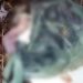Segundo bebê em menos de 8 dias é encontrado m0rt0 em Manaus