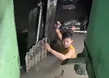 Vídeo: Na Compensa, morador faz de tudo para salvar galinha durante f0rte chuva