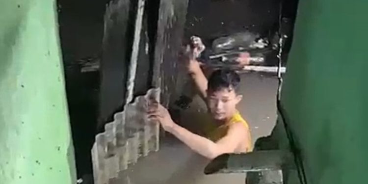 Vídeo: Na Compensa, morador faz de tudo para salvar galinha durante f0rte chuva