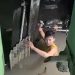 Vídeo: Na Compensa, morador faz de tudo para salvar galinha durante f0rte chuva