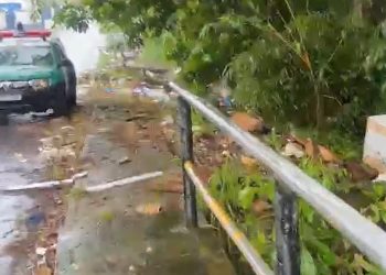 Urgente: c0rpo é jogado no mato para ser dev0rado por urubus em Manaus