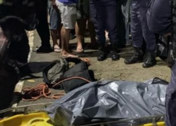 Motorista sem cinto de segurança acerta árvore, é jogado para fora e m0rre em Manaus