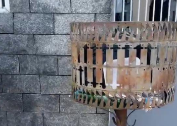 Casal é investigado como suspeito de abandonar f3t0 em lixeira no Nova Cidade