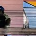 Dono de quitinete arr0mba porta e encontra inquilina m0rta em Manaus